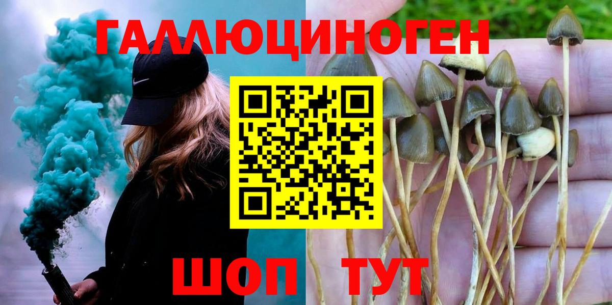 Галлюциногенные грибы Magic Shrooms  Вход с VPN  Гуково 